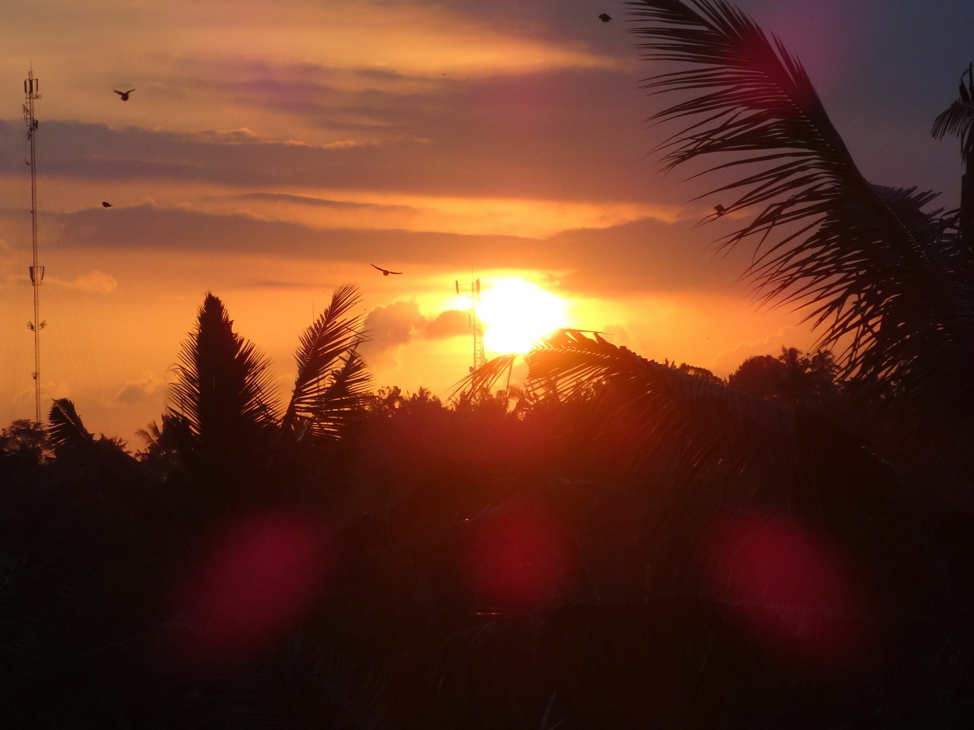 Hibiscus Cottages Ubud Esterno foto