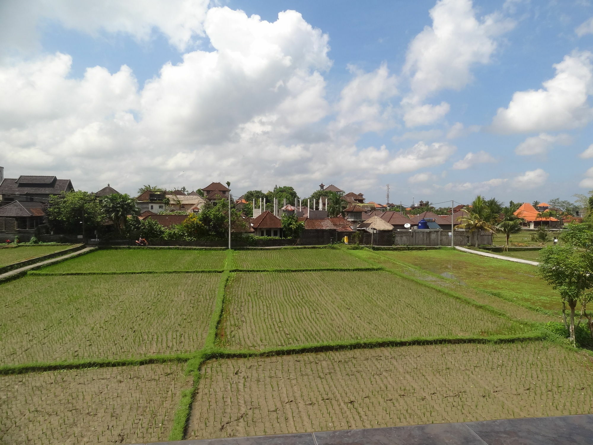 Hibiscus Cottages Ubud Esterno foto