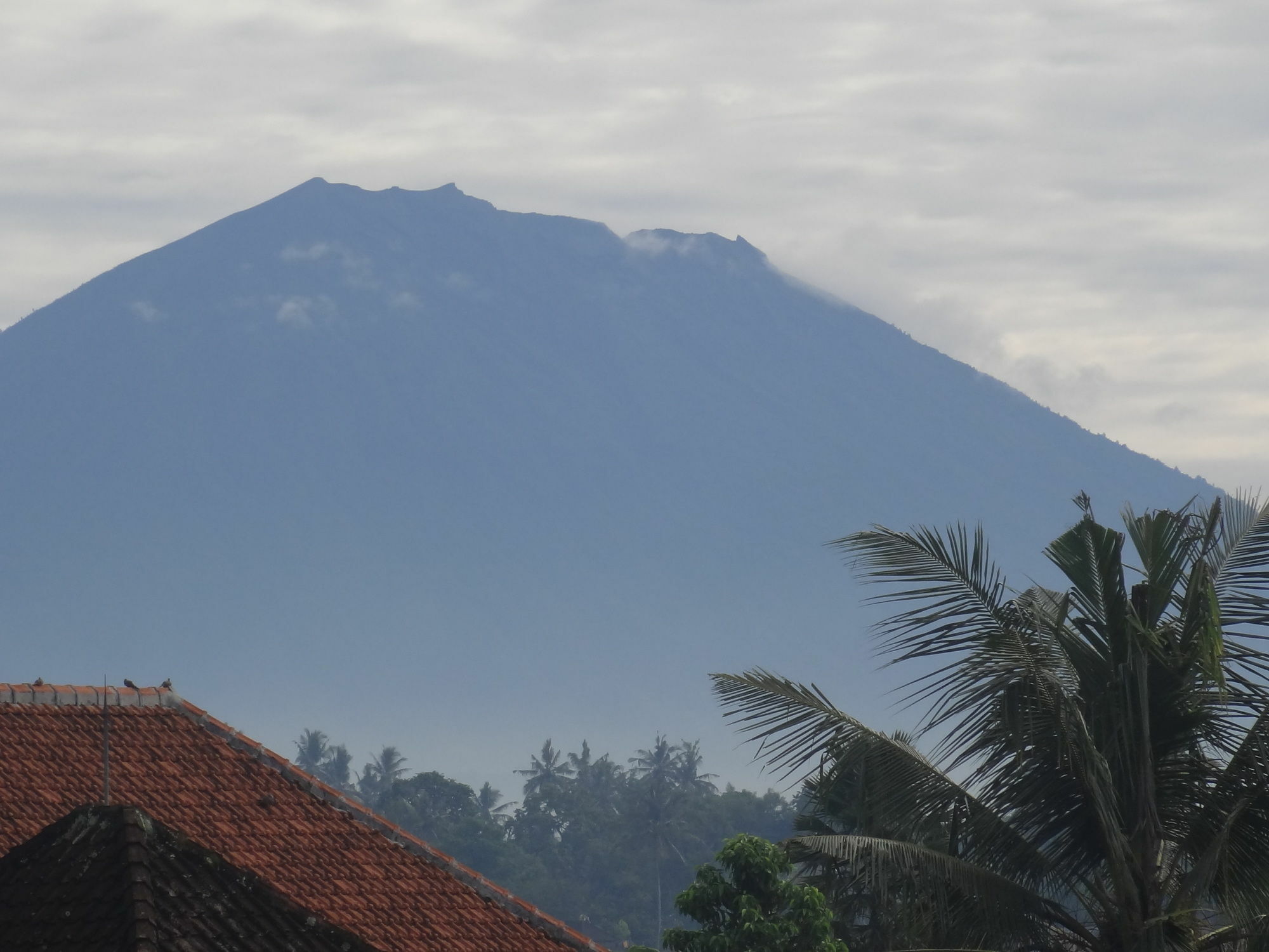 Hibiscus Cottages Ubud Esterno foto