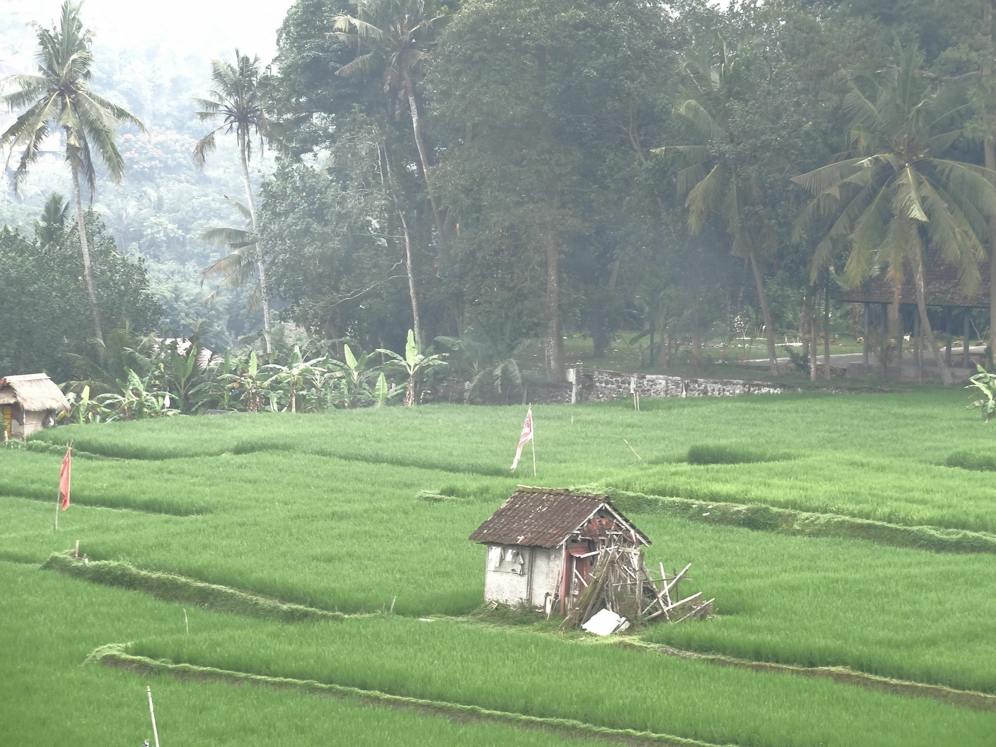 Hibiscus Cottages Ubud Esterno foto